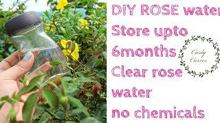 DIY Rose Water  Store upto 6 months  No chemicals [upl. by Nnayrb861]