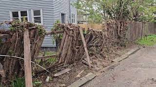 Dead TREE FALL on the ROOF of the HOUSE😱 [upl. by Malkah]