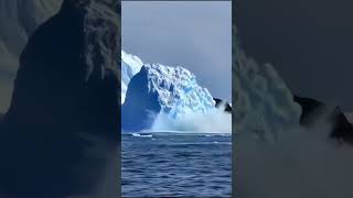 Massive Iceberg breaking downyoutubeshorts shorts viralvideo [upl. by Melesa]