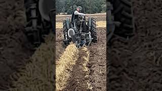 Fordson Model N Tractor at NVTEC North Notts Ploughing Match Sunday 25th August 2024 [upl. by Lucila]