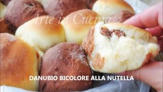 DANUBIO BICOLORE ALLA NUTELLA SOLO DI ARTE IN CUCINA [upl. by Yeaton452]