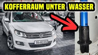 VW Tiguan Wasser im Kofferraum  Panoramadach undicht [upl. by Lucia]