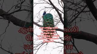 Life line tamil quotes lordmurugan life [upl. by Greenes867]