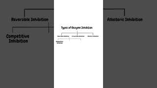 Types of Enzyme Inhibition  Reversible Inhibition  Irreversible Inhibition [upl. by Siubhan]