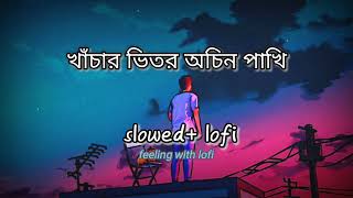 Khachar Bhitor Ochin Pakhi  slowedLofi🎶 feelinwithlofi [upl. by Anyela]