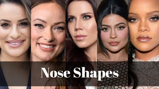 How To Contour Different Nose Types With Examples [upl. by Connelly859]