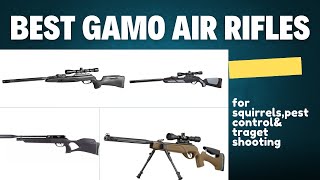 5 Best Gamo Air Rifles 2024 [upl. by Gordon]