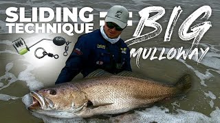 SLIDING BAITS TO CATCH BIG KOBMULLOWAY GIANT MULLOWAY OF SOUTH AFRICA SLIDE BAITING LIVE BAIT [upl. by Huesman]