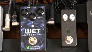 Neunaber Stereo Wet Reverb Demo [upl. by Asilla]