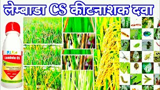 lambda cyhalothrin 49 cs कीटनाशक दवा  dhan ki kheti [upl. by Asabi]