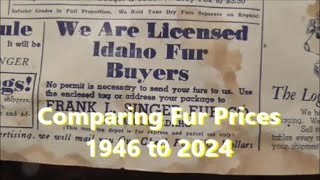 Comparing Fur Prices 1946 2024 [upl. by Maxey]