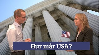 Lärdomar från USAresan Stabil ekonomi men skakig politik [upl. by Kirtap668]