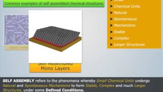 What is Self Assembly  Engineering Chemistry [upl. by Kcirrem]