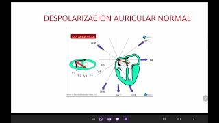 EKG  Clase 2  Crecimiento de Cavidades HPI HVD [upl. by Nisbet596]