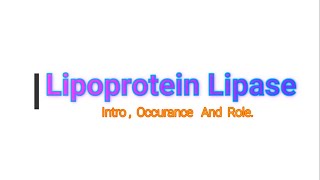 Lipoprotein Lipase LPL  Its Role In the Body  Medico Star [upl. by Aihsitan]