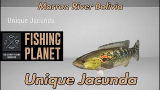 Unique Jacunda  Marron River Bolivia  Fishing Planet [upl. by Cirle]