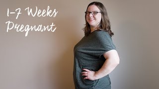 17 Weeks Pregnant  First Trimester  Plus Size Pregnancy Update  Pregnant Aspie [upl. by Nutsud]