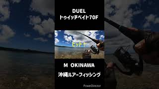 トゥイッチベイト70Fでイシミーバイ 沖縄釣り 沖縄ルアー釣り 釣り [upl. by Pattin]