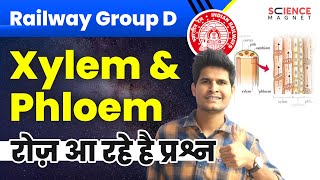 Railway Group D Biology🤩 Xylem amp Phloem by Neeraj Sir  रोज आ रहे प्रश्न neerajsir sciencemagnet [upl. by Levitus]