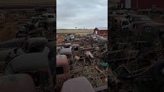 Fall is here in South Dakota ratrod junkyard salvageyard oldcar antiquecar patina [upl. by Secnirp146]