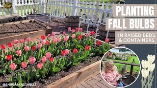 Planting Fall Flower Bulbs in Raised Beds amp Containers [upl. by Eaneg85]