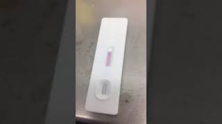 JOYSBIO SARSCOV2 Antigen Rapid Test Kit  Field Video from EU User [upl. by Lenny556]