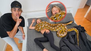 GIANT SNAKE REVENGE PRANK ON GIRLFRIEND [upl. by Cornie733]