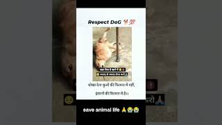 Save animal 🙏savelife saveanimals doglover death shortfeed shortsvideo shortstrending save [upl. by Acirtap546]