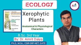 Anatomical amp Physiological Adaptation in Xerophyte plants BSc 3rd YearDrAmrit Daiya 480p [upl. by Madlin]