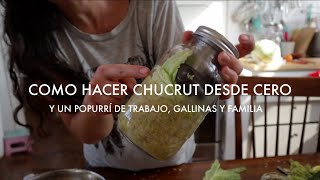 Hacer Chucrut desde Cero Preservar el Repollo Y un Popurrí de Trabajo Gallinas y Familia [upl. by Oidacra]