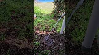 Video showing drainage in Taupo [upl. by Cly]