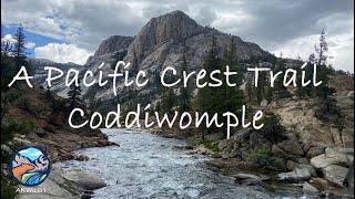 A Pacific Crest Trail Coddiwomple Documentary [upl. by Nospmas286]