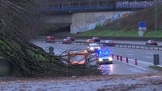 Sturmtief quotBurglindquot Orkanböen richten Schäden an  DER SPIEGEL [upl. by Avlis87]