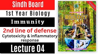 cytotoxicity  inflammatory response  second line of defense  immunity  class 11 biology Sindh [upl. by Kemp267]