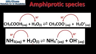 81 Amphiprotic species SL [upl. by Aitram]