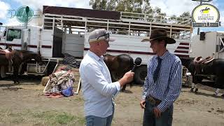 CC with Jack Hayes at the Dalby Stock Horse Sale 2025 [upl. by Immanuel]