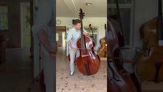 Oskar Kappelmayer Bass and Bow [upl. by Bez]