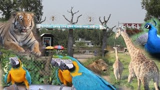 Safari Park Gazipur  Bangabandhu Sheikh Mujib Safari Park Gazipur in Bangladesh [upl. by Fendig]