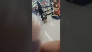 Fake service dog in meijer [upl. by Inele]