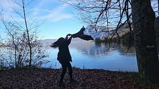 Attersee Austria Autumn 2024 [upl. by Hegarty]