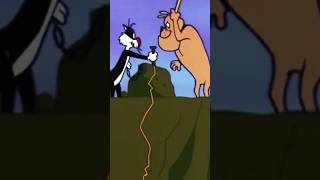 Classic cartoon Ton And Jerry funny cartoon shorts viralshorts india love viralvideo 🎁😍 [upl. by Westfahl]