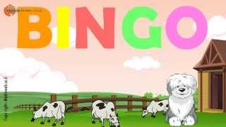 BINGO  Dog Song  Nursery Rhyme With Lyrics  Cartoon Animation Rhymes amp Songs for Children [upl. by Barbuto]