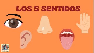 LOS 5 SENTIDOS [upl. by Dene]