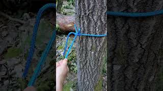 Amazing KNOT using FOR tying HAMMOCK 😍 survival outdoors knot skills shorts bushcraft rope [upl. by Austen766]