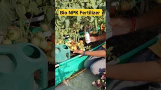 Organic Bio NPK Fertilizer for plants ☘️ shorts gardening terracegardening [upl. by Shanna33]