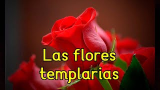 Las FLORES templarias BELLEZA NATURAL [upl. by Chema]