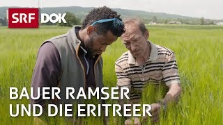 Bauer Ramser und die Eritreer  Flüchtlingsintegration in der Schweiz  Doku  SRF Dok [upl. by Rici]