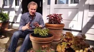 HowTo Water Your Plants With Waterwise® amp P Allen Smith [upl. by Ahsem]