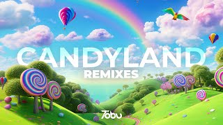 Tobu  Candyland Remixes Full Album [upl. by Ymirej]