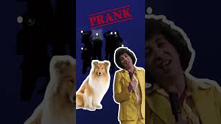 How “Mandy” by Barry Manilow is about a Dog Or is it [upl. by Zetnas166]